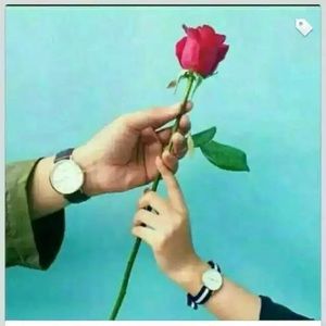 Meet your Posher, Hamsa